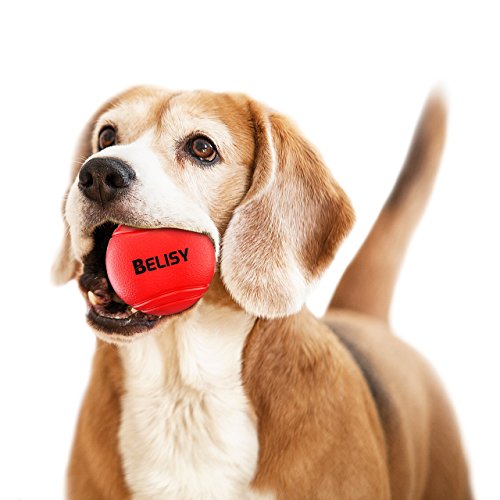 BELISY Pelota Perro - Juegos Para Perros - Adecuado Para Perros Grandes y Pequeños - Pelota Hinchable Perro - Hecho de Caucho Natural y Ecológico - Rojo