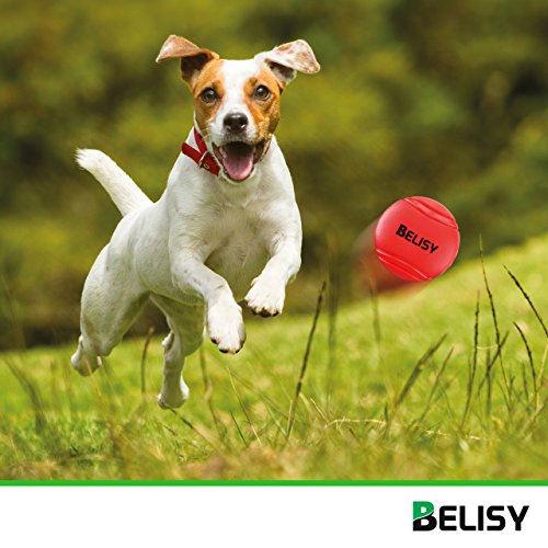 BELISY Pelota Perro - Juegos Para Perros - Adecuado Para Perros Grandes y Pequeños - Pelota Hinchable Perro - Hecho de Caucho Natural y Ecológico - Rojo