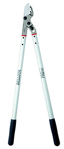 Bellota 3581-80 - Tijera de poda yunque para fruta, madera seca y dura, corte hasta 40 mm. Longitud de mangos 800mm Bellota 3581-80 - Tijera de poda yunque para fruta, madera seca y dura, corte hasta 40 mm. Longitud de mangos 800mm