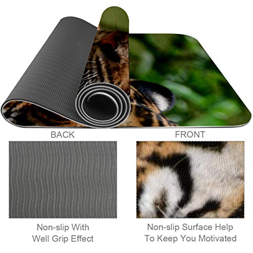 BestIdeas Esterilla de yoga Big Tiger para yoga, pilates, ejercicio de suelo para hombres, mujeres, niñas, niños, principiantes, diseño antideslizante BestIdeas Esterilla de yoga Big Tiger para yoga, pilates, ejercicio de suelo para hombres, mujeres, niñas, niños, principiantes, diseño antideslizante