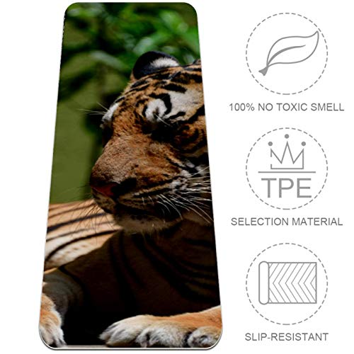 BestIdeas Esterilla de yoga Big Tiger para yoga, pilates, ejercicio de suelo para hombres, mujeres, niñas, niños, principiantes, diseño antideslizante