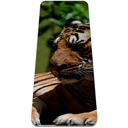 BestIdeas Esterilla de yoga Big Tiger para yoga, pilates, ejercicio de suelo para hombres, mujeres, niñas, niños, principiantes, diseño antideslizante