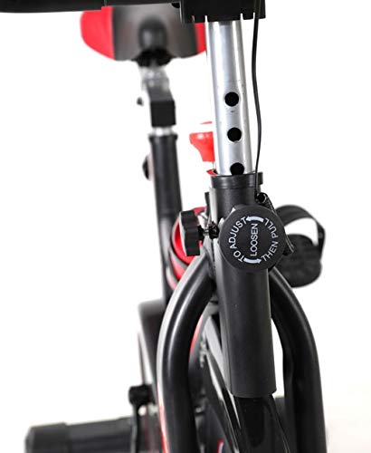 Bici Ciclo Indoor TD2000 Transmisión por Cinta, con Display (Rueda 17 kg.)