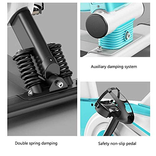 Bicicleta de ejercicio profesional para interiores - Sistema de absorción de choque auxiliar - Pantalla multifunción inteligente - Volante silencioso de dos vías, bicicleta deportiva para el hogar