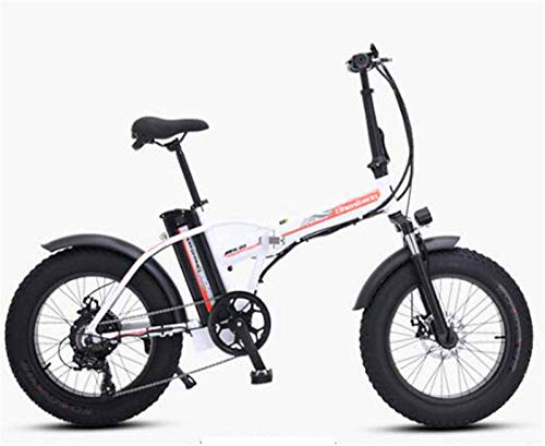 Bicicleta eléctrica de nieve, Bicicleta eléctrica de la bicicleta de la bicicleta de la bicicleta eléctrica de las bicicletas eléctricas de la tinta grasa y la bicicleta de montaña de la bicicleta elé