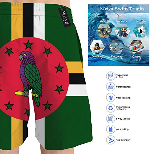 Bidetu Dominica Flag Mens Swim Trunks Summer 3D Print Graphic Casual Athletic Pantalones Cortos de natación XL