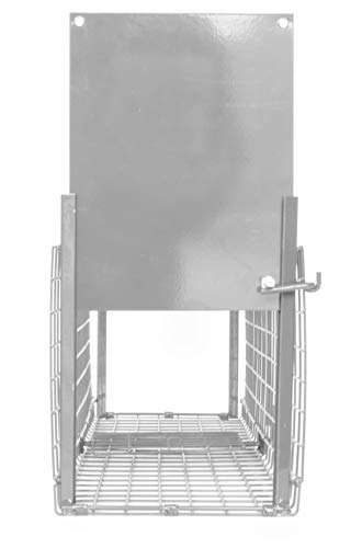 Bird-Tech TM Jaula ATRAPAR Gatos, Ratas, Conejos Vivos Doble Puerta (62X20X20CM) Plegable Bird-Tech TM Jaula ATRAPAR Gatos, Ratas, Conejos Vivos Doble Puerta (62X20X20CM) Plegable