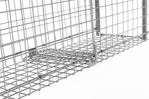 Bird-Tech TM Jaula ATRAPAR Gatos, Ratas, Conejos Vivos Doble Puerta (62X20X20CM) Plegable Bird-Tech TM Jaula ATRAPAR Gatos, Ratas, Conejos Vivos Doble Puerta (62X20X20CM) Plegable