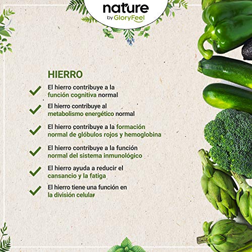 Bisglicinato de Hierro 40mg + 40mg Vitamina C natural de Acerola para una mejor absorción - 180 comprimidos veganos (Suministro para 6 meses) - Producción probada en laboratorio en Alemania