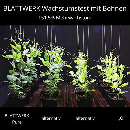 BLATTWERK Pure - 1.000ml: fertilizante 100% orgánico y vegano, completos nutrientes líquidos de hierbas, para plantas de interior y jardín, con aminoácidos, ácidos lácticos, azúcares y minerales.