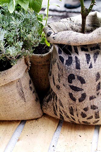 BlendNature Sacos de Yute Grande de Café Reciclados (4) BlendNature Sacos de Yute Grande de Café Reciclados (4)