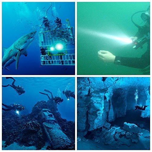 Bluefire 1200 Lumen CREE XM-L2 Linterna de Buceo, Profesional Linterna Submarina Impermeable de Seguridad para Exteriores Deportes (Negro) Bluefire 1200 Lumen CREE XM-L2 Linterna de Buceo, Profesional Linterna Submarina Impermeable de Seguridad para Exteriores Deportes (Negro)