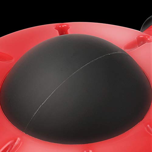 BLWX - Abdomen Abdomen Abdomen Abdomen Femenino Femenino Cintura Delgada Rodillo de 360 Grados Principiante Deportes Equipo de Fitness Inicio Rueda Muscular Abdominal BLWX - Abdomen Abdomen Abdomen Abdomen Femenino Femenino Cintura Delgada Rodillo de 360 Grados Principiante Deportes Equipo de Fitness Inicio Rueda Muscular Abdominal