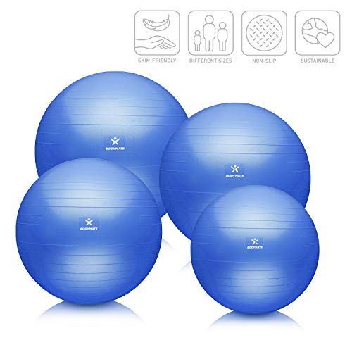 BODYMATE Pelota de Ejercicio para Fitnes | con bombín y Libro electrónico | con Sistema antirreventones BODYMATE Pelota de Ejercicio para Fitnes | con bombín y Libro electrónico | con Sistema antirreventones