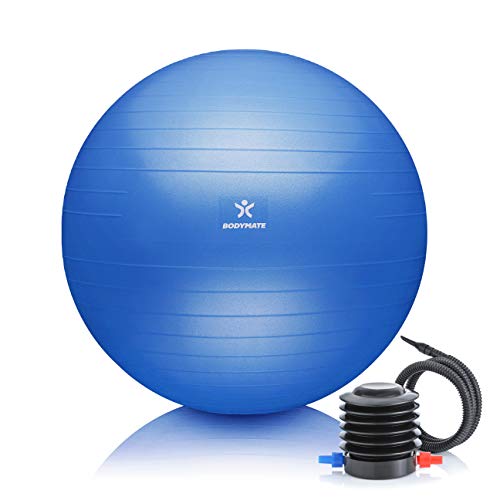 BODYMATE Pelota de Ejercicio para Fitnes | con bombín y Libro electrónico | con Sistema antirreventones BODYMATE Pelota de Ejercicio para Fitnes | con bombín y Libro electrónico | con Sistema antirreventones