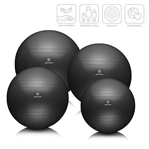 BODYMATE Pelota de Ejercicio para Fitnes | con bombín y Libro electrónico | con Sistema antirreventones