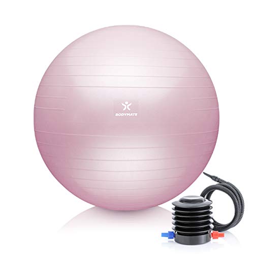 BODYMATE Pelota de Ejercicio para Fitnes | con bombín y Libro electrónico | con Sistema antirreventones BODYMATE Pelota de Ejercicio para Fitnes | con bombín y Libro electrónico | con Sistema antirreventones