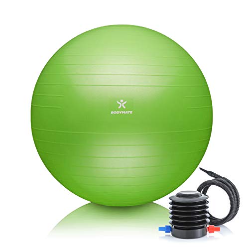 BODYMATE Pelota de Ejercicio para Fitnes | con bombín y Libro electrónico | con Sistema antirreventones BODYMATE Pelota de Ejercicio para Fitnes | con bombín y Libro electrónico | con Sistema antirreventones