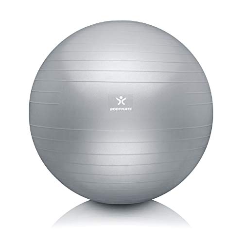 BODYMATE Pelota de Ejercicio para Fitnes | con bombín y Libro electrónico | con Sistema antirreventones BODYMATE Pelota de Ejercicio para Fitnes | con bombín y Libro electrónico | con Sistema antirreventones
