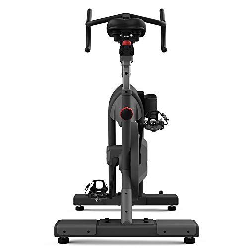 Bodytone Bicicleta Ciclo Indoor magnetica Watts