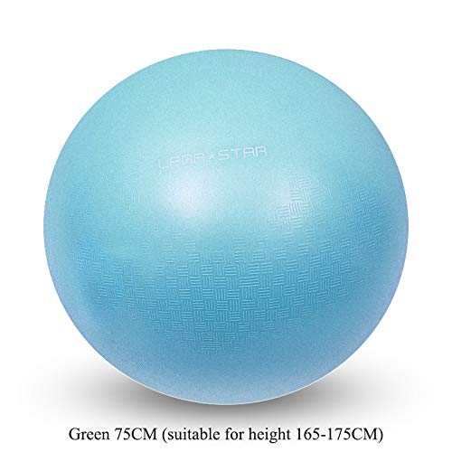 Bola de yoga interior Bola de interior Bola deportiva Deportes de Yoga Bolas Bola Pilates Fitness Gimnasio Balance Fitball Ejercicio Pilates Entrenamiento Bola de masaje 65 cm 75cm ( Color : Clear )