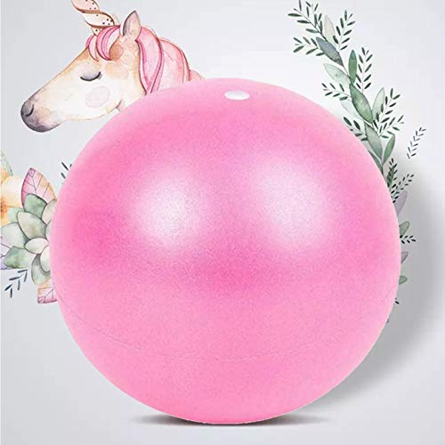 Bola YogaEjercicio,Pilates Pelota Equilibrio,Mini Balón Ejercicio Anti explosión 25cm,para Gimnasio, Yoga, Masaje y Pilates en Casa (Rosado)