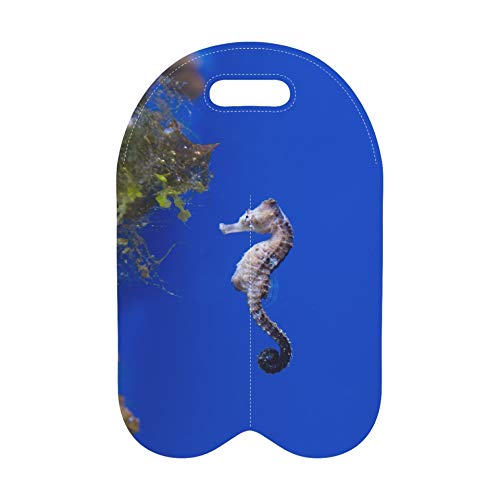 Bolsa de vino de 2 botellas Caballito de mar Peces de acuario Caballito de mar es un género de Sma Bolsa de transporte de vino Bolsa de regalo de botella con soporte de botella dob Bolsa de vino de 2 botellas Caballito de mar Peces de acuario Caballito de mar es un género de Sma Bolsa de transporte de vino Bolsa de regalo de botella con soporte de botella dob