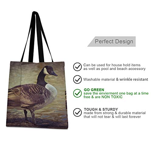 Bolsos de gran capacidad cuadrada Bolsos de hombro Goose Animal Bird Aves de corral Greylag Goose Gander Picnic Tote Bag 19.7 X 16.9in Impresión para niñas Damas Compras Trabajo diario