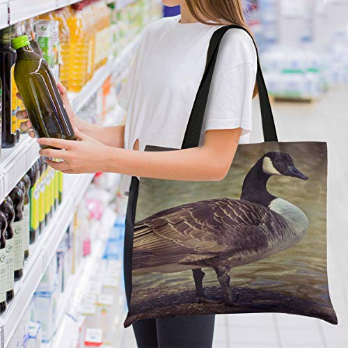 Bolsos de gran capacidad cuadrada Bolsos de hombro Goose Animal Bird Aves de corral Greylag Goose Gander Picnic Tote Bag 19.7 X 16.9in Impresión para niñas Damas Compras Trabajo diario