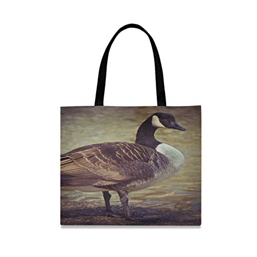 Bolsos de gran capacidad cuadrada Bolsos de hombro Goose Animal Bird Aves de corral Greylag Goose Gander Picnic Tote Bag 19.7 X 16.9in Impresión para niñas Damas Compras Trabajo diario