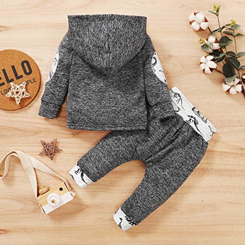 Borlai Baby Boy Girl Sudadera con Capucha Pantalones y Tops Conjuntos de Ropa Conjuntos de Regalos de Sudadera Encantadora de Moda, 0-36 Meses, 2 Piezas (Dinosaurio Gris, 18-24 Meses)