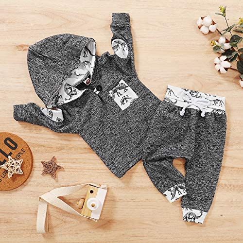 Borlai Baby Boy Girl Sudadera con Capucha Pantalones y Tops Conjuntos de Ropa Conjuntos de Regalos de Sudadera Encantadora de Moda, 0-36 Meses, 2 Piezas (Dinosaurio Gris, 18-24 Meses)