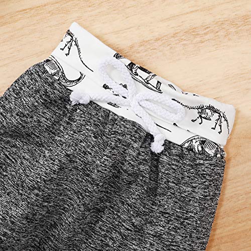 Borlai Baby Boy Girl Sudadera con Capucha Pantalones y Tops Conjuntos de Ropa Conjuntos de Regalos de Sudadera Encantadora de Moda, 0-36 Meses, 2 Piezas (Dinosaurio Gris, 18-24 Meses)