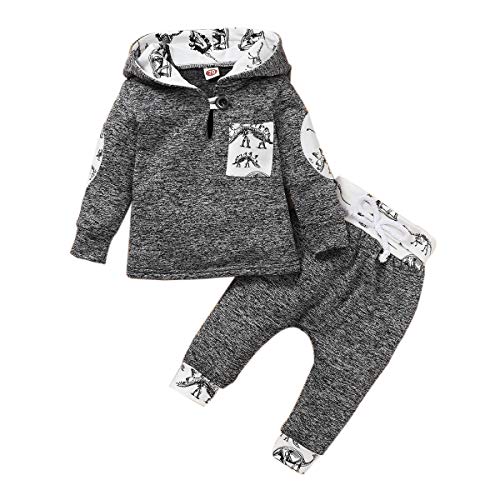 Borlai Baby Boy Girl Sudadera con Capucha Pantalones y Tops Conjuntos de Ropa Conjuntos de Regalos de Sudadera Encantadora de Moda, 0-36 Meses, 2 Piezas (Dinosaurio Gris, 18-24 Meses)