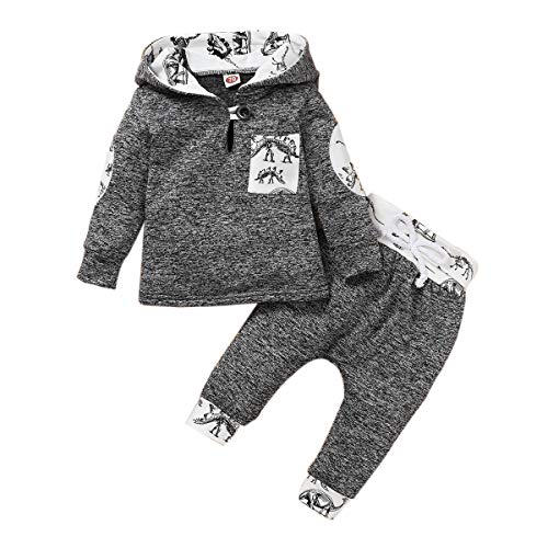 Borlai Baby Boy Girl Sudadera con Capucha Pantalones y Tops Conjuntos de Ropa Conjuntos de Regalos de Sudadera Encantadora de Moda, 0-36 Meses, 2 Piezas (Dinosaurio Gris, 18-24 Meses) Borlai Baby Boy Girl Sudadera con Capucha Pantalones y Tops Conjuntos de Ropa Conjuntos de Regalos de Sudadera Encantadora de Moda, 0-36 Meses, 2 Piezas (Dinosaurio Gris, 18-24 Meses)
