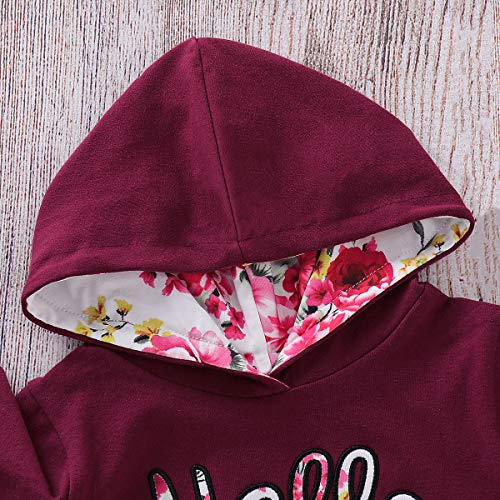 Borlai Bebé niña Floral con Capucha Traje de chándal Sudadera Pantalones Conjunto de Ropa 1-5 años (Rojo púrpura, 2-3 años)