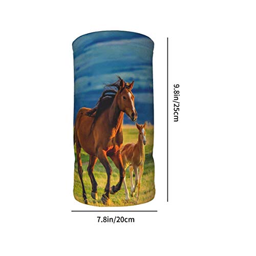 BOTAO Bufanda Multifuncional/pañuelo en la Cabeza Yegua marrón y Potro pequeño Niños Invierno Fleece Cuello Polaina Calentador Bandanas Bufanda con cordón Fresco BOTAO Bufanda Multifuncional/pañuelo en la Cabeza Yegua marrón y Potro pequeño Niños Invierno Fleece Cuello Polaina Calentador Bandanas Bufanda con cordón Fresco