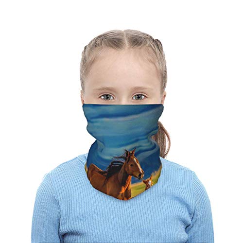 BOTAO Bufanda Multifuncional/pañuelo en la Cabeza Yegua marrón y Potro pequeño Niños Invierno Fleece Cuello Polaina Calentador Bandanas Bufanda con cordón Fresco