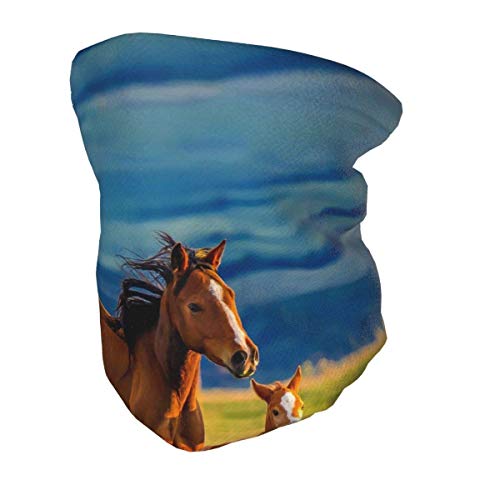 BOTAO Bufanda Multifuncional/pañuelo en la Cabeza Yegua marrón y Potro pequeño Niños Invierno Fleece Cuello Polaina Calentador Bandanas Bufanda con cordón Fresco BOTAO Bufanda Multifuncional/pañuelo en la Cabeza Yegua marrón y Potro pequeño Niños Invierno Fleece Cuello Polaina Calentador Bandanas Bufanda con cordón Fresco