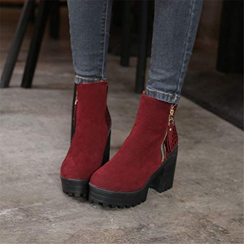 Botas De TacóN Alto Las Mujeres Cremallera Gruesa TacóN Medio Cargadores Cortos OtoñO Invierno CáLido Felpa Zapatos De Plataforma Botas De TacóN Alto Las Mujeres Cremallera Gruesa TacóN Medio Cargadores Cortos OtoñO Invierno CáLido Felpa Zapatos De Plataforma