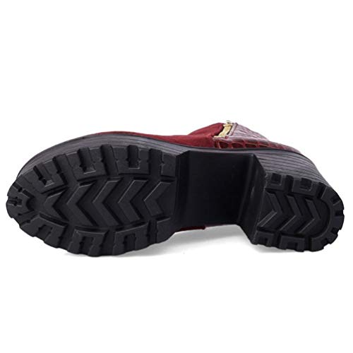 Botas De TacóN Alto Las Mujeres Cremallera Gruesa TacóN Medio Cargadores Cortos OtoñO Invierno CáLido Felpa Zapatos De Plataforma Botas De TacóN Alto Las Mujeres Cremallera Gruesa TacóN Medio Cargadores Cortos OtoñO Invierno CáLido Felpa Zapatos De Plataforma