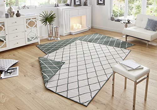 bougari Alfombra Reversible para Interior y Exterior, Color Verde y Crema, 200 x 290 cm bougari Alfombra Reversible para Interior y Exterior, Color Verde y Crema, 200 x 290 cm