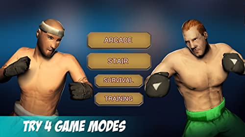 Boxing vs Kung Fu Championship Fighting Simulation – Best Masters Battle