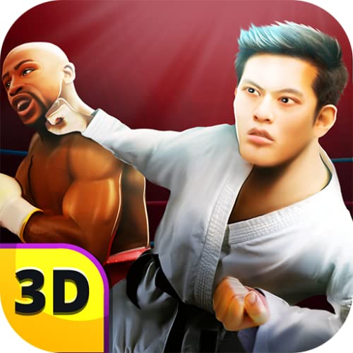 Boxing vs Kung Fu Championship Fighting Simulation – Best Masters Battle