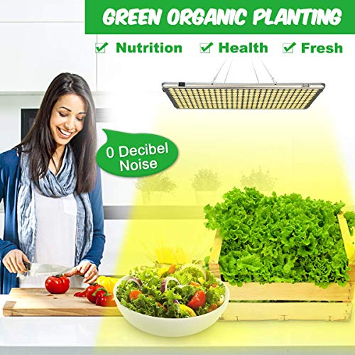 Bozily Lámpara de Plantas, Lámpara LED Cultivo 300W para Plantas de Interior, Cabezal Dual de Espectro Completo, 338 LED, Auto On/Off, Led Cultivo Interior Crecimiento y Floracion Bozily Lámpara de Plantas, Lámpara LED Cultivo 300W para Plantas de Interior, Cabezal Dual de Espectro Completo, 338 LED, Auto On/Off, Led Cultivo Interior Crecimiento y Floracion