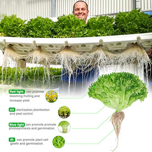 Bozily Lámpara de Plantas, Lámpara LED Cultivo 300W para Plantas de Interior, Cabezal Dual de Espectro Completo, 338 LED, Auto On/Off, Led Cultivo Interior Crecimiento y Floracion Bozily Lámpara de Plantas, Lámpara LED Cultivo 300W para Plantas de Interior, Cabezal Dual de Espectro Completo, 338 LED, Auto On/Off, Led Cultivo Interior Crecimiento y Floracion