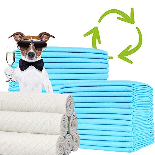 BPS® Empapadores de Entrenamiento para Perros Gatos Perfumes con Feromonas para Atraer los Cachorros y Simplificar el Entrenamiento (30pcs 60 * 60cm) BPS-2168