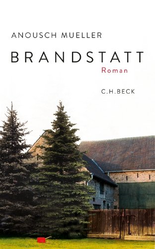 Brandstatt: Roman (German Edition)