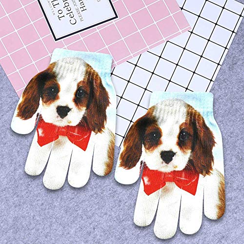 Bruce Dillon Guantes para niños con diseño de animales de punto, gatito, mascotas y niños, bonitos guantes de invierno – EX A1 Bruce Dillon Guantes para niños con diseño de animales de punto, gatito, mascotas y niños, bonitos guantes de invierno – EX A1