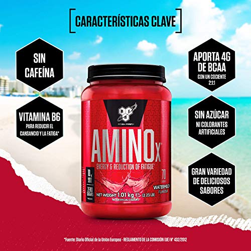 BSN Nutrition Amino X, Suplementos Deportivos BCAA Polvo con Aminoacidos Esenciales y Vitamina D, Aminoacidos BCAA para Musculacion, Sandía, 70 Porciones, 1kg